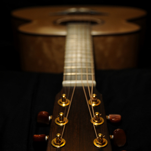 小正太初精洗脑改造过程
