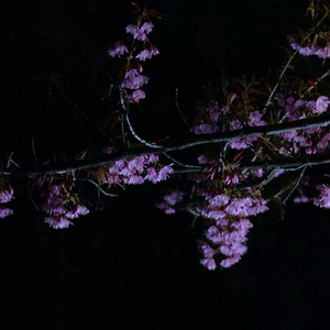 小正太初精洗脑改造过程
